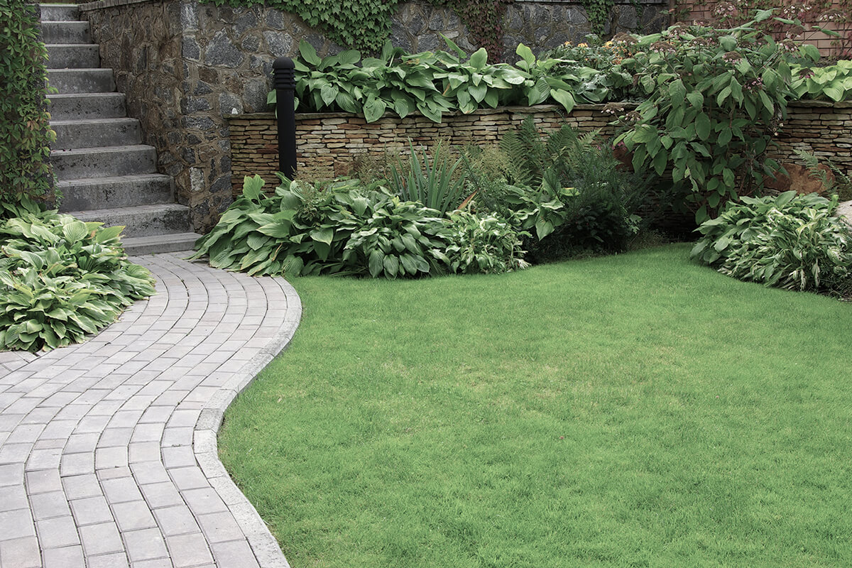 Welcome to JJN Landscaping